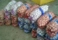 Ministerio de Defensa incauta 12 toneladas de ajo