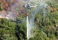 Aumentarán logísticas para prevenir fuegos forestales