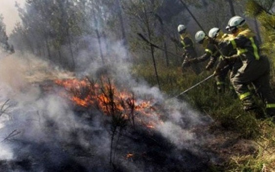 Envía más de 500 hombres y bomberos forestales zona incendiada