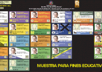 PRD llevará a Danilo Medina en la casilla numero uno