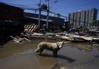 Alerta de tsunami en Japón tras el sismo en Chile