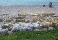 Continúan trasladando cientos sacos de piedras de la playa