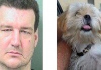 Un simple añito en prisión por morder y dejar ciego un perro