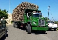 Cesfront ocupa camión cargado de madera en Manzanillo