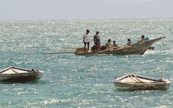 Haitianos destruyen reproducción de nuestras especies marinas