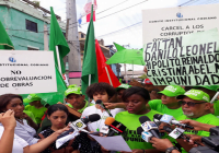 Marcha Verde Cristo Rey exige inclusión Danilo, Hipólito y Leonel en expediente; Vídeo