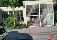 Arrrestan dotación de la DNCD en San Juan de la Maguana tras allanar sede