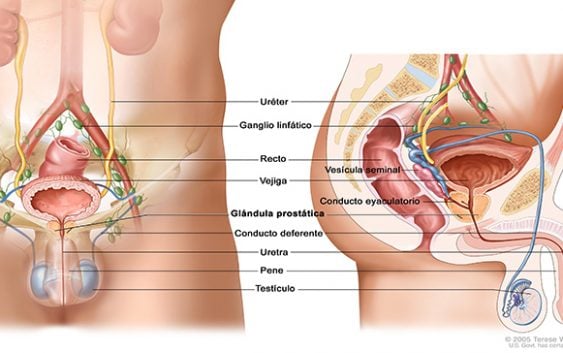 En mes de la salud masculina disertan sobre nuevas técnicas de tratamiento cáncer de próstata