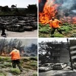 Satelites muestran incendios en Grecia fueron provocados; Alcalde dice fue tendido eléctrico caído