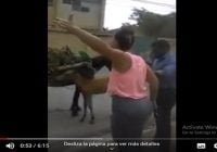 Soberbio abuso animal: Señora increpa delincuente por abusar de yegua con una semana de parida; Vídeo