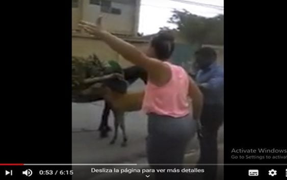 Soberbio abuso animal: Señora increpa delincuente por abusar de yegua con una semana de parida; Vídeo