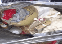 Apresan haitiano llevaba dos cráneos humanos en un saco