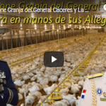 Corrupción al Desnudo: PGR pone Granja de Pollos del pueblo en manos gente de Cáceres Silvestre; Vídeo