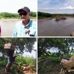 Productores bananeros de Amina piden auxilio ante abandono de autoridades del agro; Vídeo
