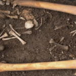 Hallan en Alpes suizos esqueleto de alpinista alemán desaparecido en 1990 y avión se estrelló hace 54 años