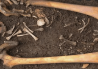Hallan en Alpes suizos esqueleto de alpinista alemán desaparecido en 1990 y avión se estrelló hace 54 años