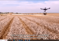 Tecnologías de Israel para eficientizar la agricultura y economizar el agua; Vídeo