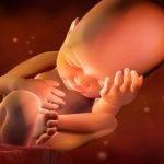 Crudo testimonio del director del Materno-Infantil de Salta: “Ley no fija límite aborto, llegan de 28 semanas”
