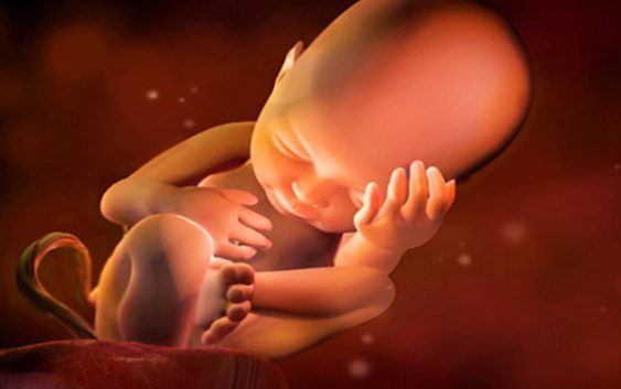 Crudo testimonio del director del Materno-Infantil de Salta: “Ley no fija límite aborto, llegan de 28 semanas”