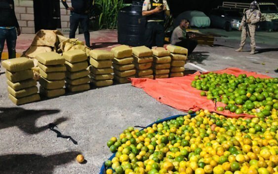 Ocupan en Pedernales 390 libras de marihuana camufladas en sacos de frutas y apresan dos sujetos